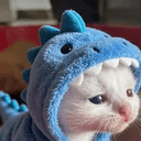 DINOCAT
