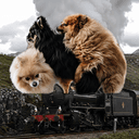 trainfuck