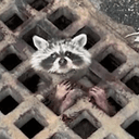 STUCKCOON