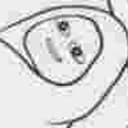 BREPE