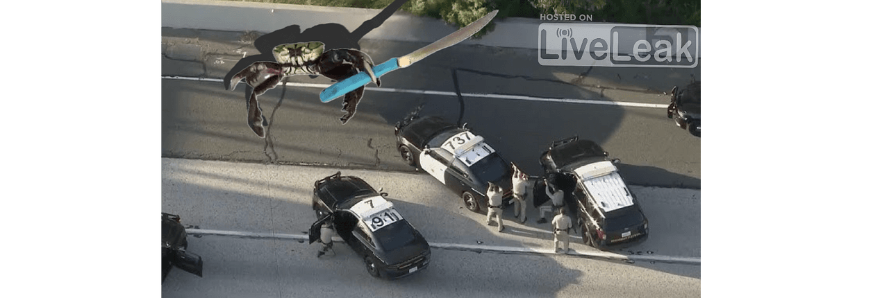 crab with knife Banner