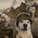 TRENCHDOG