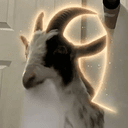 BIRDIE