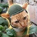 TRENCH