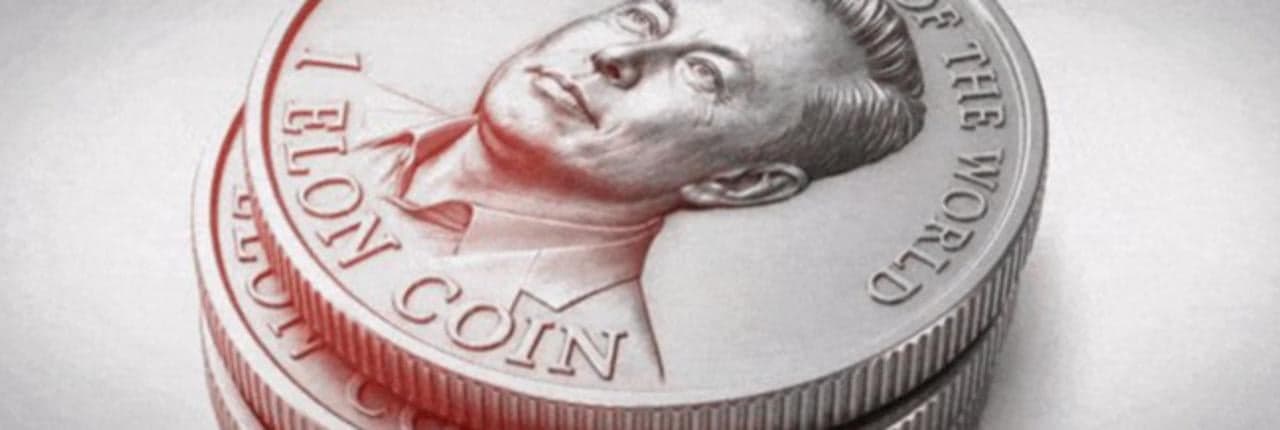 Elon Coin Banner