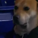 SAD