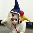 CLOWNCAQT
