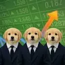Nasdogs