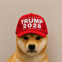 WIFTRUMP2028