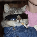 cig