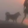 JAX
