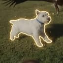 WINSTON