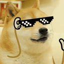 DANKDOGE