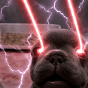 Pibble