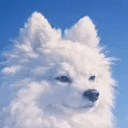 clouddog