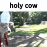 HOLYCOW