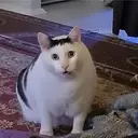 HUH