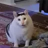 HUH
