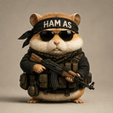 HAMAS