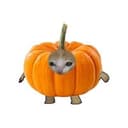 PUMPKITT