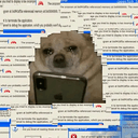 IRS