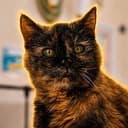 Millie