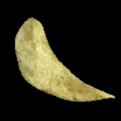 CHIP