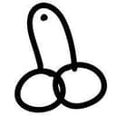 PENIS