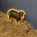 TINYTANK