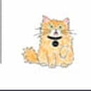 BILLI