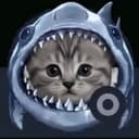 sharkcat