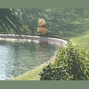 POOH