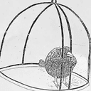 CAGED