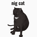 NIGCAT