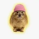 animal