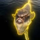 MOLA