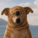 CYCLOPSINU
