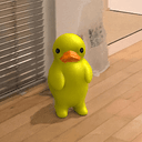 duchi