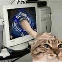 petcat