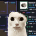 NPC