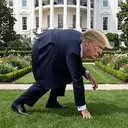 Trumpothy
