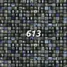 613