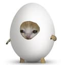 EGGCAT