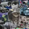PSYOPCAT