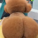 fwe