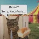 REVOLT
