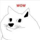 DOGE