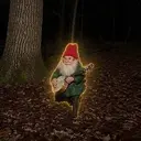 Gnomes