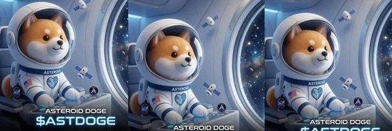 Asteroid Doge Banner