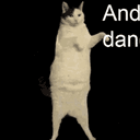 DANCECAT